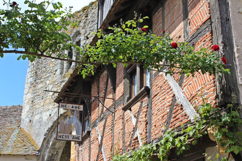 Le Meublé MONESTOIS Villa Mennetou-sur-Cher Exterior foto