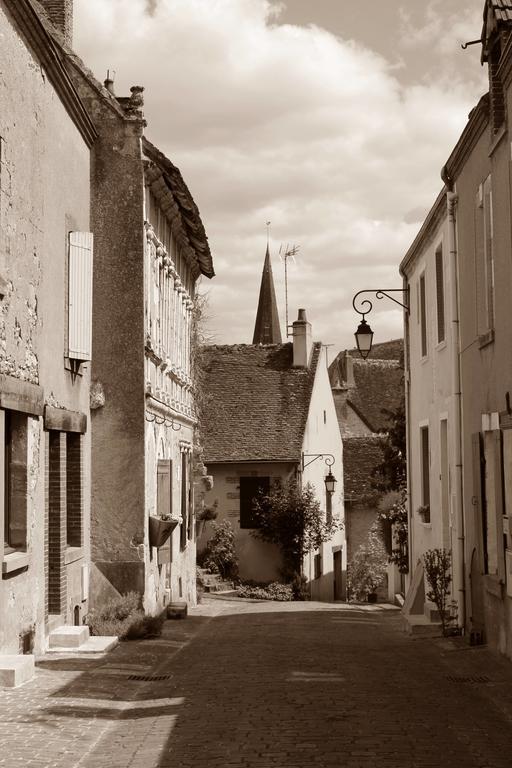 Le Meublé MONESTOIS Villa Mennetou-sur-Cher Exterior foto