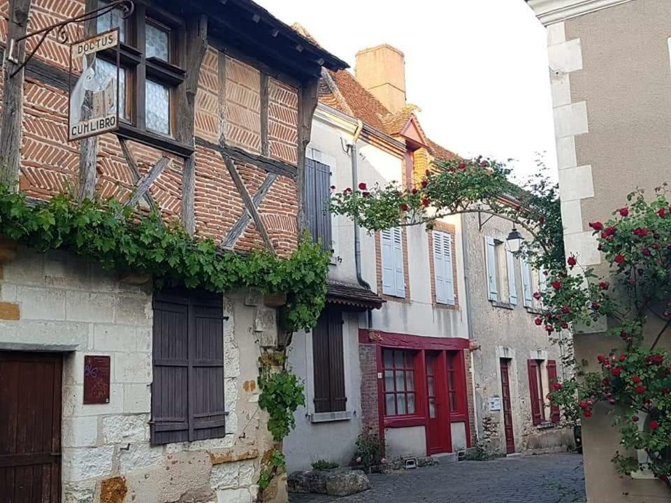 Le Meublé MONESTOIS Villa Mennetou-sur-Cher Exterior foto